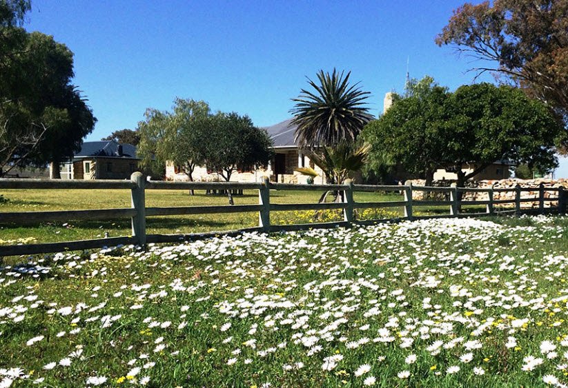 Hantam National Botanical Garden, South Africa , South Africa